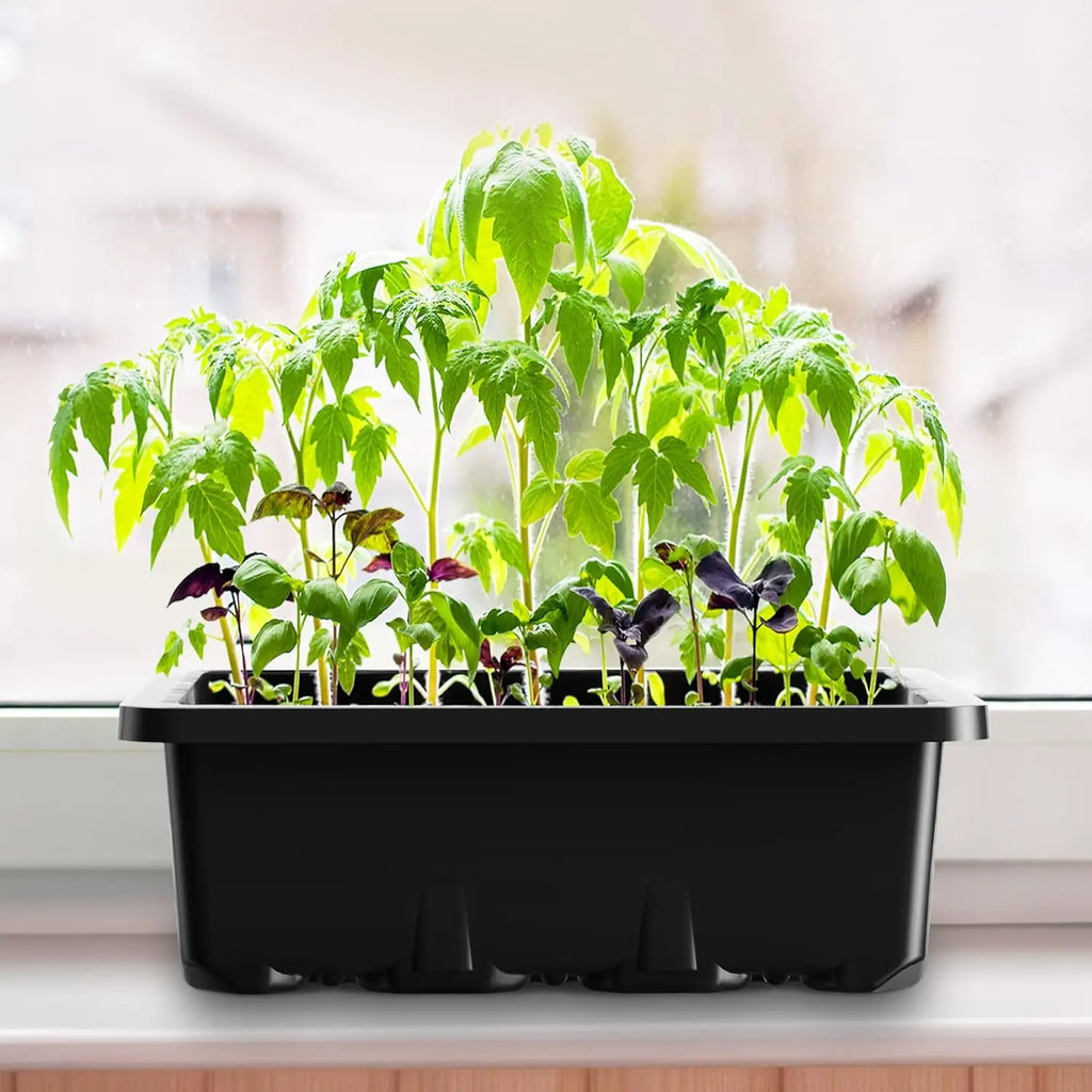 Lot de 10 plateaux à semis 🌱